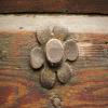 images/portfolio/fotografia/albumPORTONI/bagnatica_2010_06_11_021.jpg