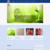 images/portfolio/webdesign/POLISPORTIVA_BAGNATICA/pob02.jpg